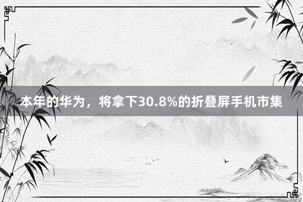 本年的华为，将拿下30.8%的折叠屏手机市集