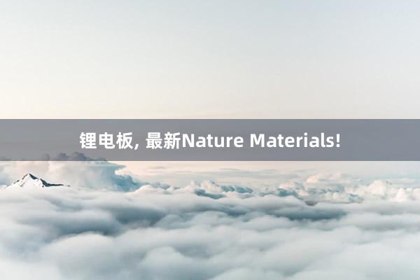 锂电板, 最新Nature Materials!