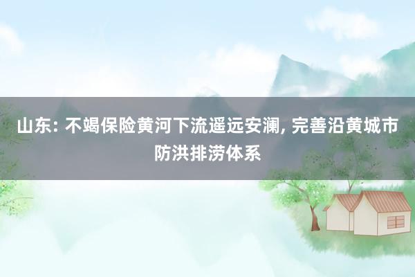 山东: 不竭保险黄河下流遥远安澜, 完善沿黄城市防洪排涝体系