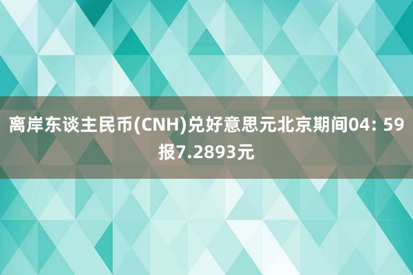 离岸东谈主民币(CNH)兑好意思元北京期间04: 59报7.2893元