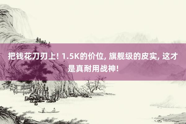 把钱花刀刃上! 1.5K的价位, 旗舰级的皮实, 这才是真耐用战神!