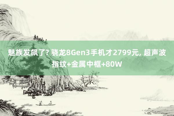 魅族发飙了? 骁龙8Gen3手机才2799元, 超声波指纹+金属中框+80W