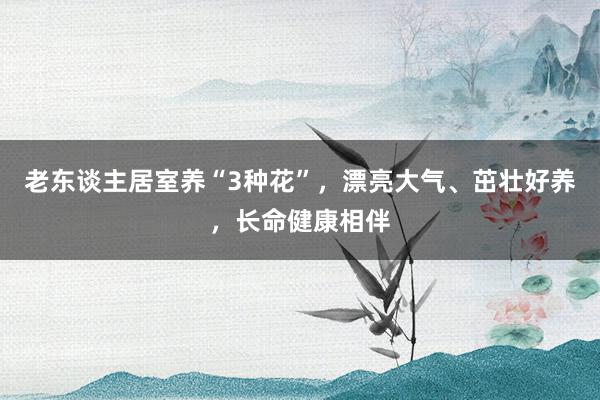 老东谈主居室养“3种花”，漂亮大气、茁壮好养，长命健康相伴