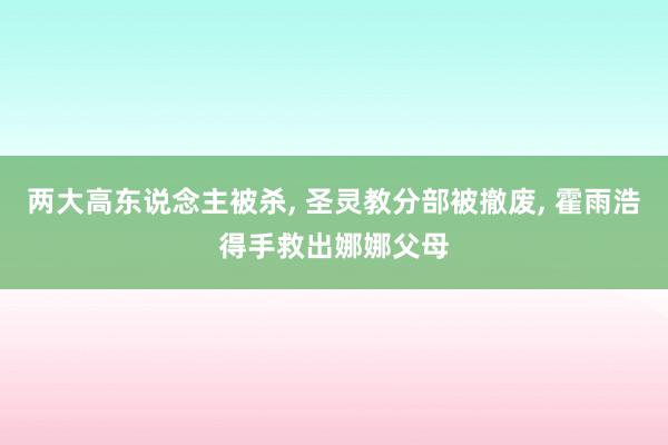 两大高东说念主被杀, 圣灵教分部被撤废, 霍雨浩得手救出娜娜父母