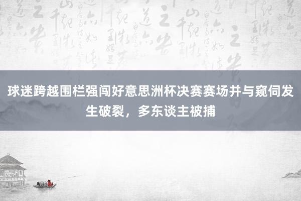 球迷跨越围栏强闯好意思洲杯决赛赛场并与窥伺发生破裂，多东谈主被捕