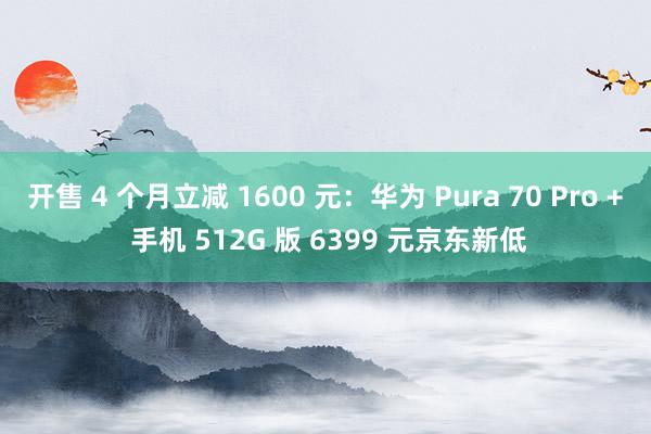 开售 4 个月立减 1600 元：华为 Pura 70 Pro + 手机 512G 版 6399 元京东新低