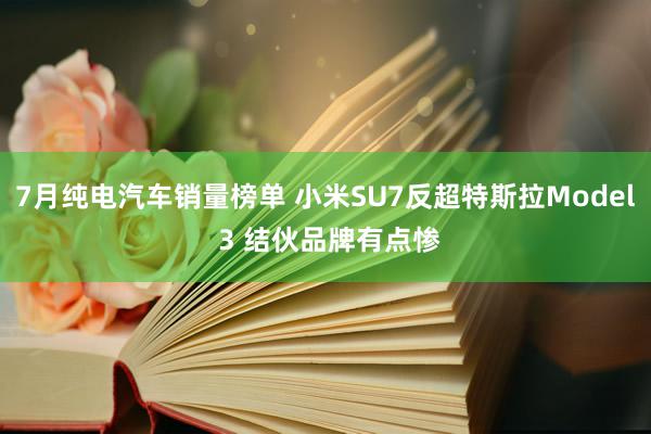 7月纯电汽车销量榜单 小米SU7反超特斯拉Model 3 结伙品牌有点惨