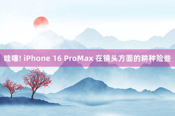 哇噻! iPhone 16 ProMax 在镜头方面的耕种险些