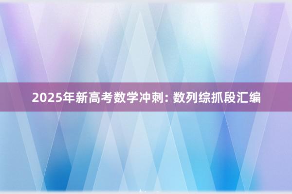 2025年新高考数学冲刺: 数列综抓段汇编